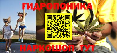 индика Анжеро-Судженск