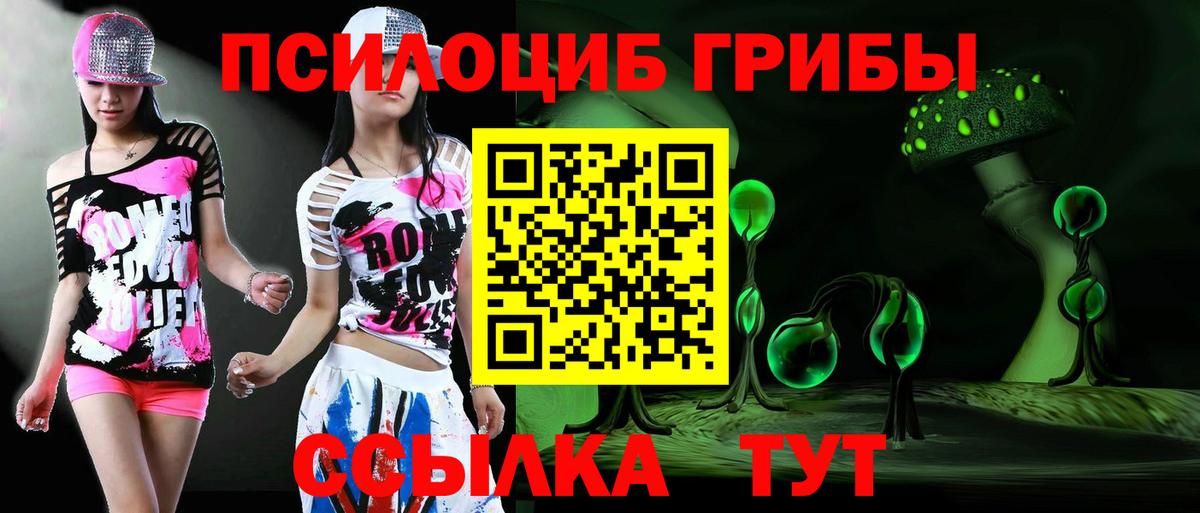 Галлюциногенные грибы прущие грибы Асино